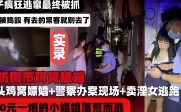 河北廊坊鸡窝被端实录妹子疯狂逃窜最终被捉