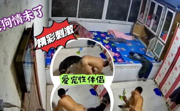 人狗情未了爱宠性伴侣_人狗插屁屁精彩刺激