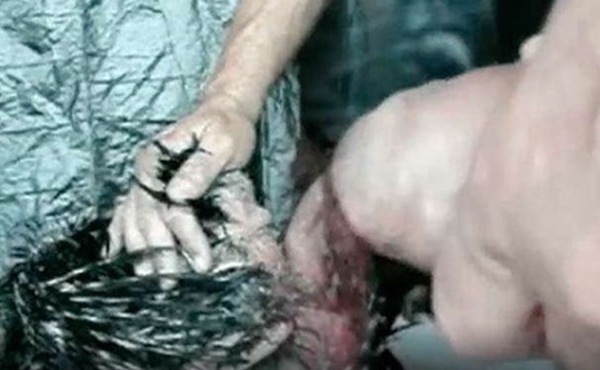 鸡被鸡奸从背后操她的洞