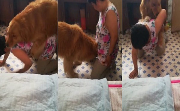 熟女让狗子操她逼逼