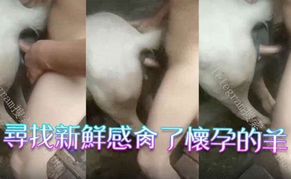 乡村性爱生活寻找新鲜感肏了怀孕的羊