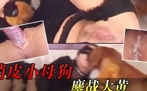 俏皮小母狗鏖战大黄_当然大黄的精华可一滴都不能浪费