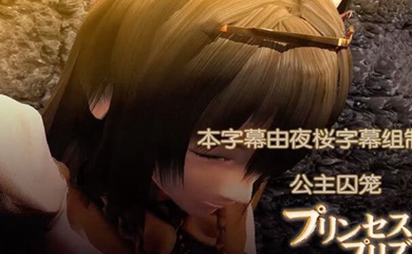 中文字幕公主的囚笼