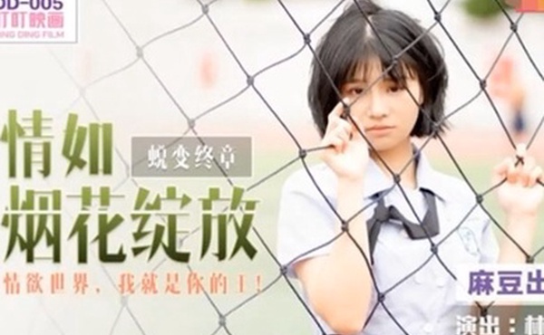 林晚琬情如烟花绽放_情欲世界我就是你的王