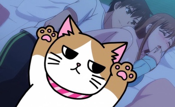 哥哥喜欢从后面进吗