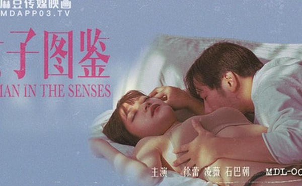 徐蕾淩薇石巴朝女子图鑒