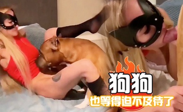 狗狗也等得迫不及待了