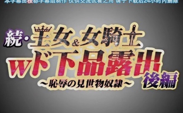 第二集长期持续的超级大国之间的战争以德米纳斯帝国的胜利而告终引导爱尔斯塔王国走向灭