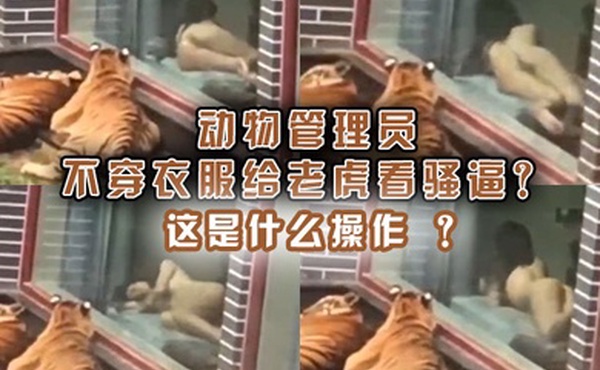动物管理员不穿衣服给老虎看骚逼这是什么操作