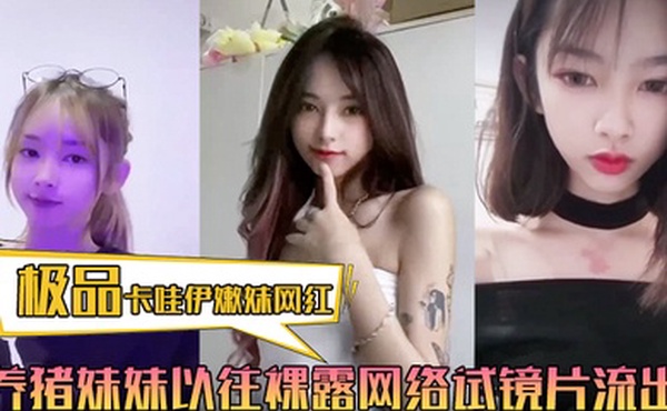 极品卡哇伊嫩妹网红养猪妹妹以往裸露网络试镜片流出