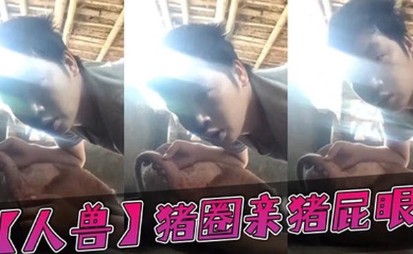 人兽猪圈亲猪屁眼