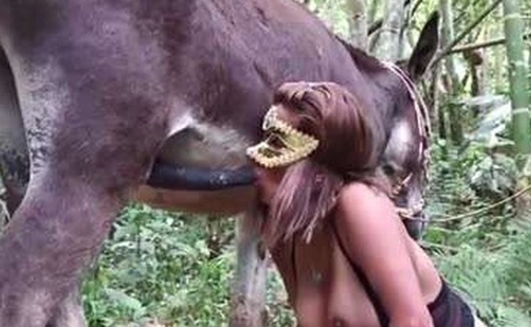 少妇和骡子户外激情