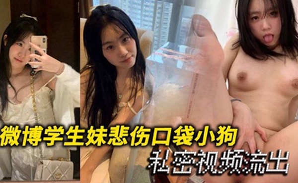微博学生妹悲伤口袋小狗私密视频流出