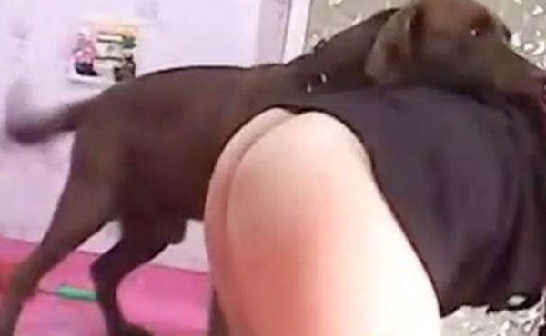 国产人兽绿奴直播分享老婆被狗子干