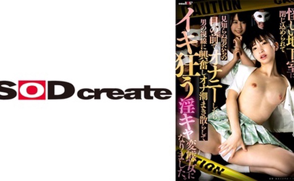 107SDHS-042 読書好きの陰キャな私が怪しい地下室に閉じ込められて見知らぬ男たちの目の前でオナニーしたら