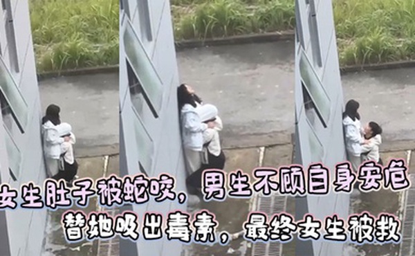 女生肚子被蛇咬，男生不顾自身安危  替她吸出毒素，最终女生被救