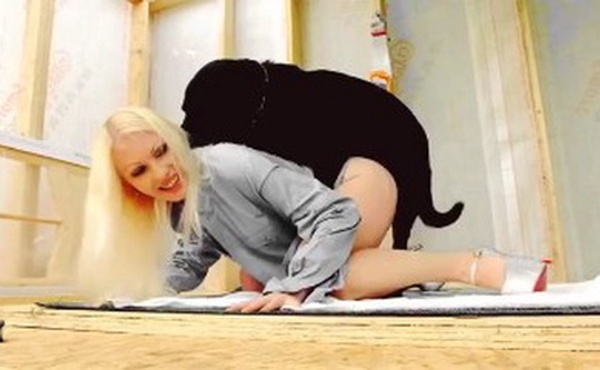 这么大的洞，估计也只有狗能满足